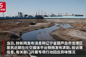 葫芦岛异味问题登上热搜，当地生态环境部门已采取行动视频封面