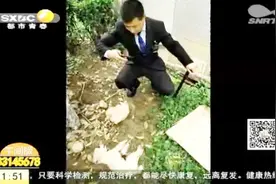 女子在小区内晨练，不料被三只野狗围攻，自家小泰迪犬护主被咬死视频封面