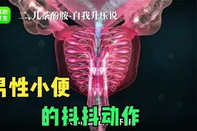 揭秘男性小便后的神秘现象：为什么会出现抖抖动作？视频封面