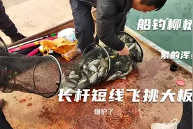 船钓柳树林累到胳膊膀子疼，一天钓五六十斤大鲫鱼是个什么体验？视频封面