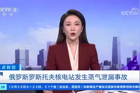 俄罗斯 罗斯托夫核电站发生蒸气泄漏事故视频封面