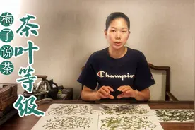 跟梅子一起分辨你手中的龙井茶属于哪个等级，适合自己的就是好茶视频封面