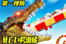 当你挑战死亡巨鳄滑梯被一口吞了？第一视角带你感受惊险刺激！视频封面