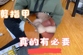 猫咪的指甲一定要剪，一定要剪，一定要剪！重要的事情说三遍！