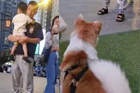狗狗偶遇做绝育的医生，温顺的它开始愤怒狂吠：医患关系十分紧张视频封面