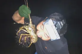 退潮后在海边发现龙虾窝，玉平抓到只超肥的龙虾，看着都想咬一口视频封面