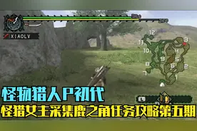 木子小驴解说《怪物猎人P初代》采集鹿之角任务攻略第五期视频封面