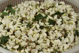 槐花怎么做才好吃？3种经典做法告诉你，营养美味，全家人都爱吃视频封面