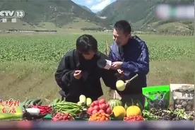 高原上的水果有多甜？和丁真一起尝尝极地果蔬视频封面