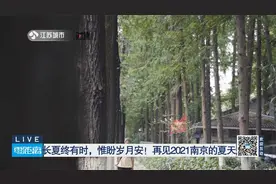 长夏终有时，惟盼岁月安！再见2021南京的夏天视频封面
