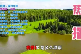 《陈明 - 等你爱我》（信仰）（有一种爱叫做放手）（想延安）视频封面