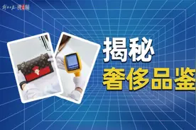 独家揭秘：上海最大的奢侈品第三方鉴定中心是这样的视频封面