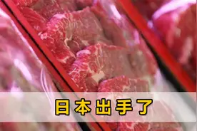 美日高层刚结束会谈，日本就提高美国进口牛肉关税，期限是30天视频封面