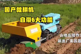 国产微耕机带6大功能，开沟旋耕还能做树枝粉碎，环保投入少视频封面
