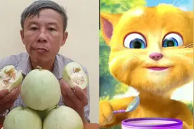 金杰猫与老爷爷：一起吃饼干与甜瓜