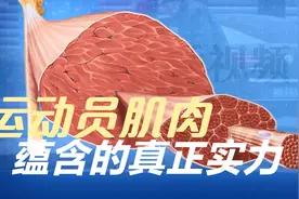 人体奥秘：奥运会运动员们的肌肉，是怎么拥有神奇力量的？视频封面