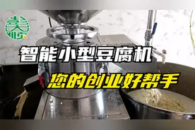 智能化家用小型豆腐机，占地小做得快，你的创业好帮手视频封面