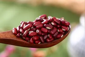 赤小豆与红豆：我们不一样！养生入药用的赤小豆长啥样？视频封面