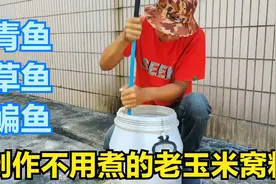 学会这款窝料制作，在钓青鱼草鱼自信满满，寨主分享硬干货视频封面