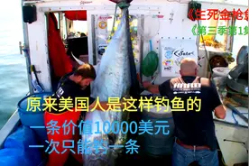 原来美国人是这样钓鱼的？一条10000美元，一次只能钓一条S3E1视频封面