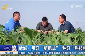种好"科技粮"！武城卫星遥感技术实时监测作物情况，助力农民增收视频封面