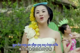 西双版纳傣族歌曲 凤凰之歌视频封面