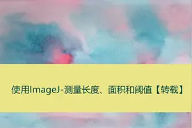 使用ImageJ-测量长度、面积和阈值【转载】