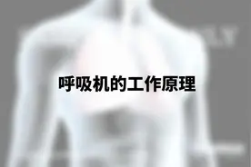 呼吸机的工作原理视频封面