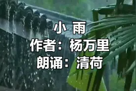 雨也会妒忌人？南宋诗人杨万里的这首《小雨》，描写的堪称高妙！视频封面