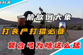 一箭放倒大象，打丧尸打猎必备，复合弓为啥这么猛视频封面