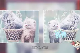 缝纫机也能做刺绣？还能双面异色绣，立体小猫真是被惊艳了视频封面