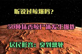 听说过鲸爆吗？50吨抹香鲸尸体发生爆炸，居民形容：臭到想死视频封面