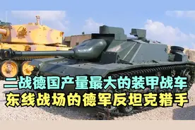二战德国唯一产量过万的装甲战车，造价仅为虎式坦克四分之一视频封面
