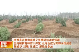 张维亮樊成华等市领导参加春季义务植树活动视频封面