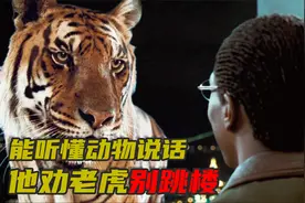 大夫能听懂任何动物说话，最后所有的动物都来找他治病视频封面