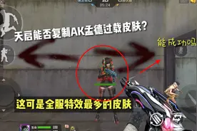 天启能否复制AK孟德过载皮肤？这可是全服特效最多皮肤！能成功吗视频封面