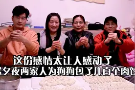 农村兄弟忙活一天，为10只狗子准备年夜饭，狗狗也要欢喜过大年视频封面