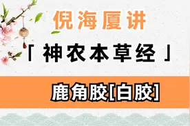 鹿角胶[白胶] | 倪海厦讲《神农本草经》视频封面