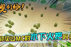 MC海泡菜究竟是动物还是植物呢？其实它是一种仿生物