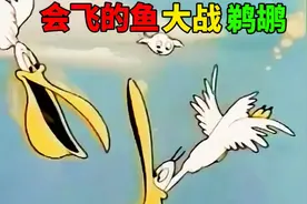 搞笑配音：这条鱼居然会飞，还打败了鹈鹕！视频封面