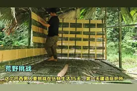 这个巴西男人挑战丛林生活15天，第一天先把庇护所建造起来视频封面