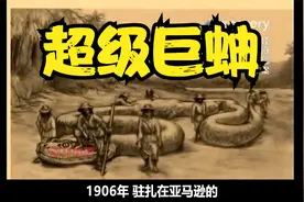 5吨重的超级巨蚺，真的假的？视频封面