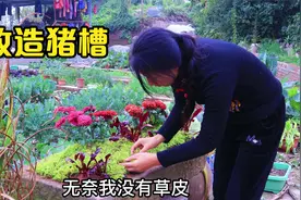 4000多W人围观的猪槽，还记得吗？今天给它改造成另一番景象。视频封面