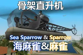 给它爱中的骨架直升机——海，麻雀（Sparrow）视频封面