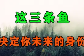 庄子的三条鱼，道破了3种人生的境界！读懂了就都活明白了视频封面