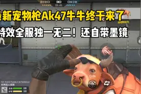 最新充完枪AK47牛牛终于来了！换弹还自带墨镜啊！视频封面