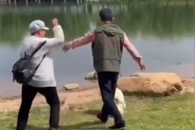 天鹅被强戴“郑州环志”脖圈，无奈用嘴啄枷锁，大妈气得怒骂混蛋视频封面