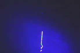 夜钓用蚯蚓作饵就是好，永远不知道下一杆是啥鱼，每杆都充满期待视频封面