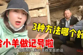 自家牲畜做啥记号能分辨？哈萨克丫头家用3种方法，牧民好有智慧视频封面
