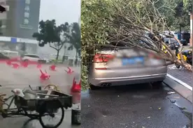成都新都出现强对流天气：商户座椅被吹走 轿车被树木砸中视频封面